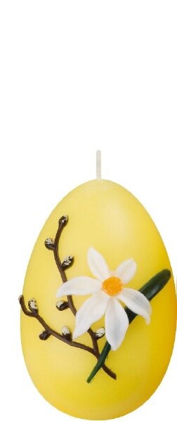 Eikerze Narzisse Citron 90 x Ø 60 mm, 6 Stück