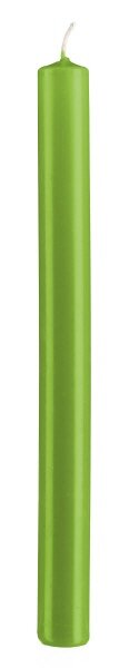 Stabkerzen Green 250 x Ø 22 mm, 10 Stück