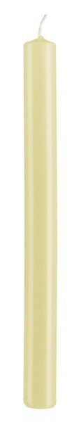 Stabkerzen Beige 250 x Ø 22 mm, 10 Stück