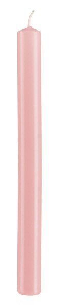 Stabkerzen Taupe Rose 250 x Ø 22 mm, 10 Stück