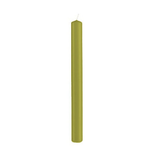 Stabkerzen Scottich Green 250 x Ø 22 mm, 10 Stück