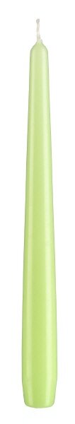 Spitzkerzen Kiwi Hellgrün