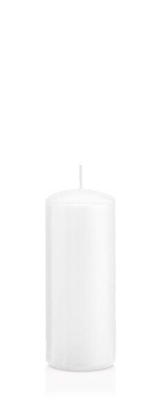 Wiedemann Stumpen Kerzen RAL Weiß 100 x Ø 48 mm, 24 Stück